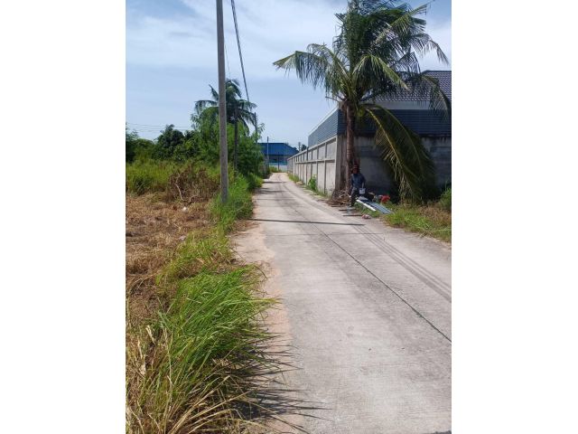 ขายที่ดินโป่ง พัทยาเนื้อที่ 2 ไร่ ใกล้ถนนกระทิงลาย-ปลวกเกตุ-800เมตร อ.บางละมุง ชลบุรี