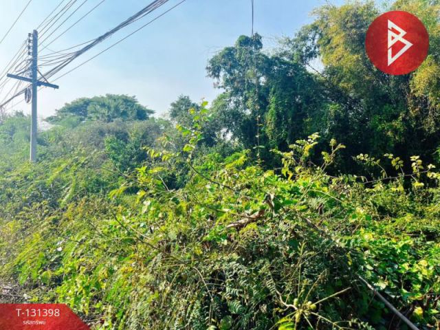 ขายที่ดิน เนื้อที่ 3 ไร่ 89 ตร.วา บางกุ้ง สุพรรณบุรี ทำเลดี