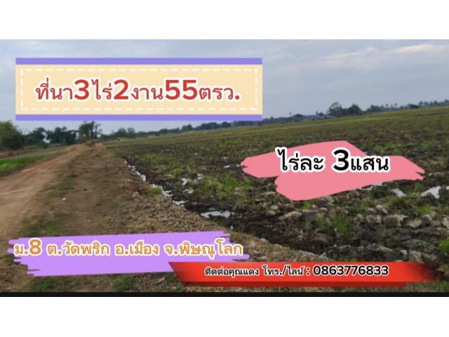 ที่ดิน 3ไร่2งาน55ตรว. ม.8 ต.วัดพริก อ.เมืองพิษณุโลก
