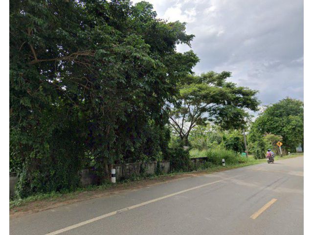 ขายที่ดินบางเสร่ 200 ตรว. ซอยหนองหิน-วัดทุ่งโปรง ติดวิวเขาบรรยากาศดีใกล้ตลาดแยกเจ-4กม. อ.สัตหีบ ชลบุรี