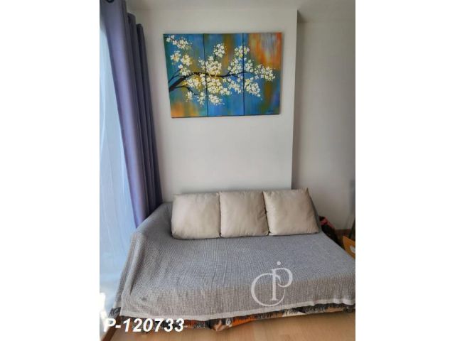 P-120733 คอนโดให้เช่า วิวเมืองสวยงาม พร้อมเข้าอยู่! เดอะ นิช ไพรด์ ทองหล่อ-เพชรบุรี ห้อง 1 ห้องนอน ขนาด 35 ตร.ม