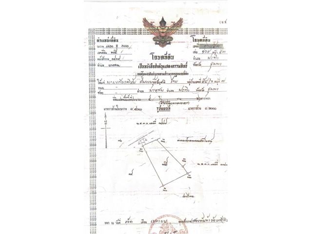 ขายที่ดินติดทะเลหาดบางสน 4 ไร่ 56 ตารางวา