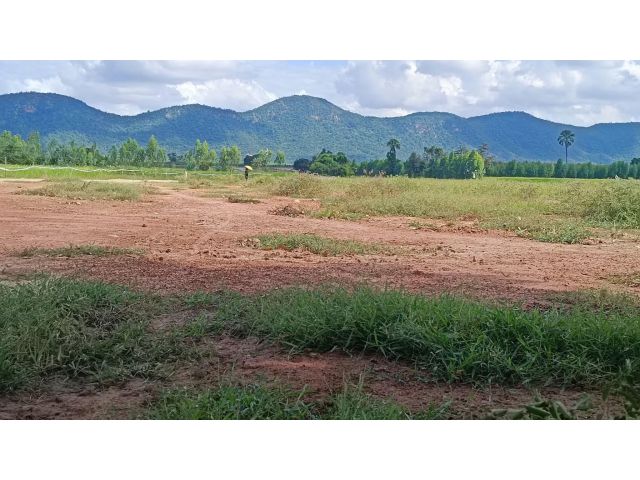 ที่วิวเขา 1 ไร่ ติดถนนคอนกรีต