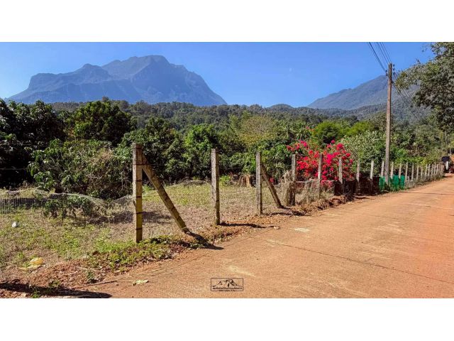 ขายที่ดินตำบลเชียงดาวบ้านหัวทุ่งวิวดอยหลวงเชียงดาว