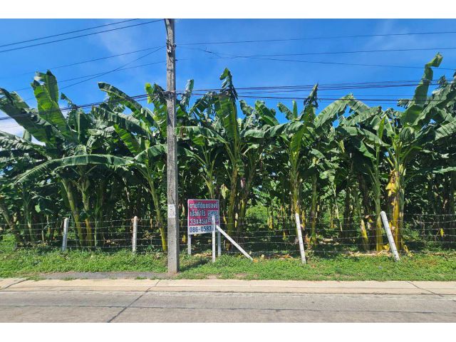 ที่ดินนนทบุรี1ไร่ ใกล้สะพานเจษ