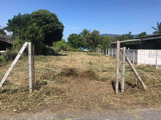 ที่ดินใกล้เขาเขียว136ตรว. ขายขาด/ขายผ่อนตรง 1.17ล้านบาท