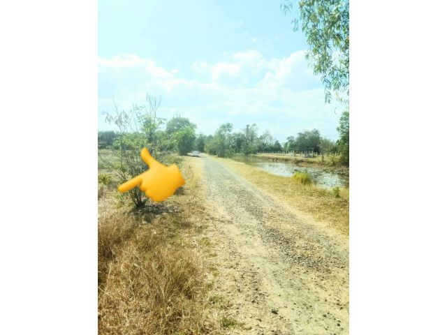 ทึ่นาโฉนด ติดถนน ติดคลอง วิวสวย ใกล้เมืองบุรีรัมย์