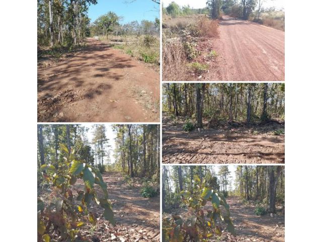 ขายถูกๆที่ 8 ไร่ 1 งาน 93 ตรว ยก 750,000  ห่าง.เส้นสกล-นคร 12 กม บ.ผักขะย่า ต.ขมิ้น อ.เมือง จ.สกลนคร 0832217666