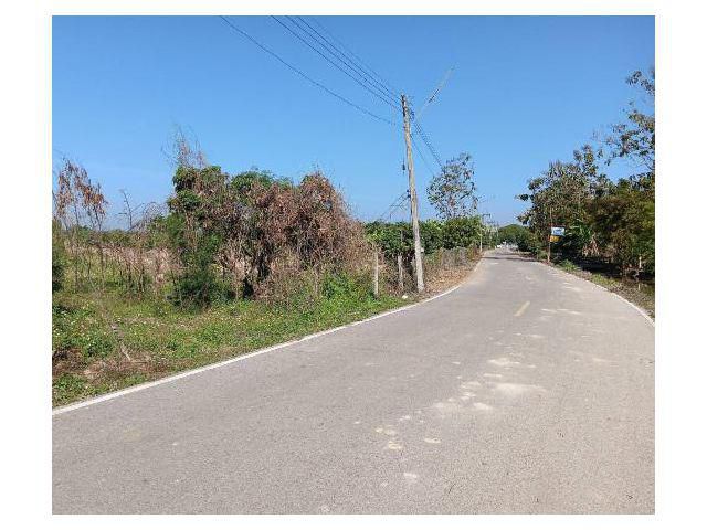 ขายด่วน!!! ที่ดินราคาถูก ต.ริมปิง ติดถนนลาดยาง เนื้อที่ 3-3-0 ไรํ อากาศดีร่มรื่นเหมาะปลูกบ้าน ทำสวนลำไยหรือทำธุรกิจ