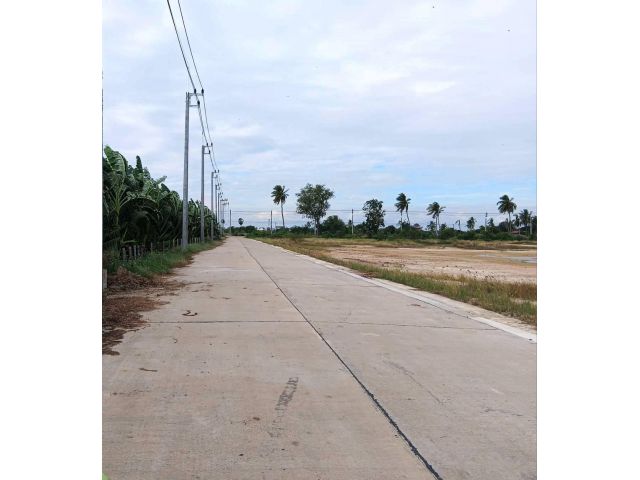 ขายที่ดินแปลงสวยทำเลดี ติดถนนคอนกรีต 2 ด้าน เนื้อที่ 102.6 ตรว.ใกล้ชุมชนตลาดห้วยพลู ใกล้จุดขึ้นลงทางด่วน เหมาะปลูกบ้าน