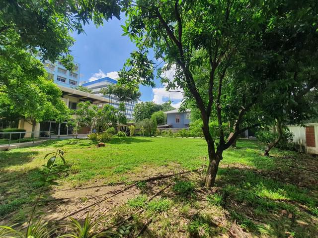 ขายที่ดินงามวงศ์วาน ขนาด 1-0-14ไร่ ซอยทิมแลนด์ ทำเลดีมาก