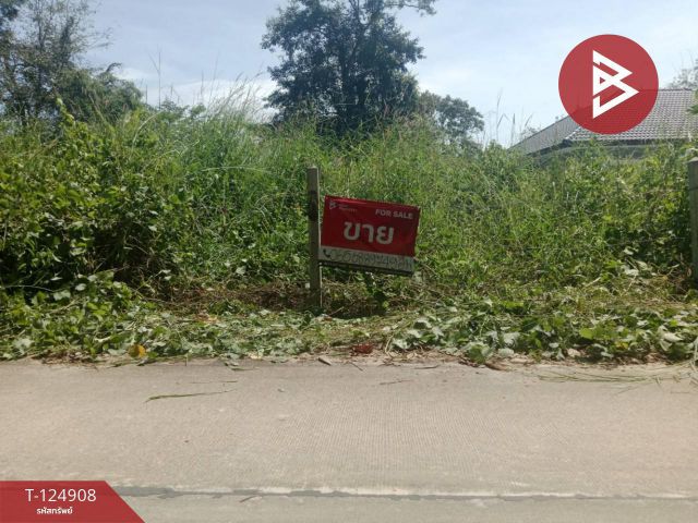 ขายที่ดิน เนื้อที่ 1 งาน บ้านค่าย ระยอง