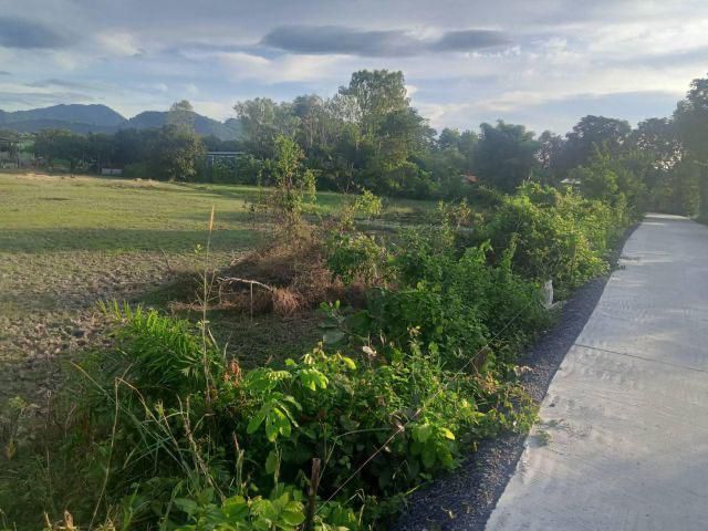 ขายที่ดิน 3 ไร่เศษ ครุฑแดง (ติดถนนคอนกรีตทั้ง 2 ด้าน) คลองวังปลาจีด พรหมณี จปร เตรียมทหาร วิวเขาชะโงก 180*