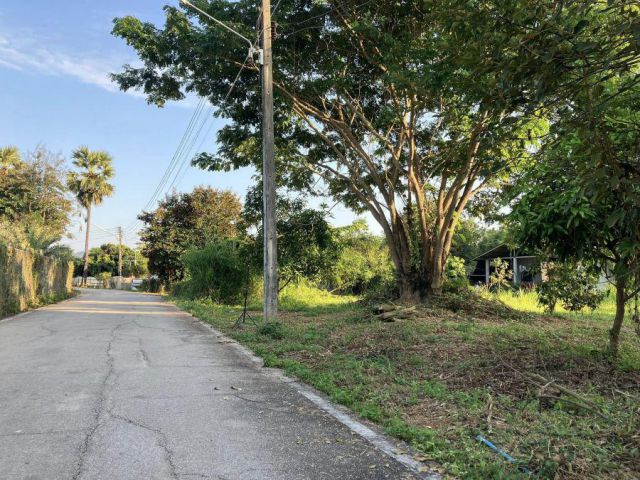 ขายที่ดิน ริมแม่น้ำจาง อำเภอแม่ทะลำปาง