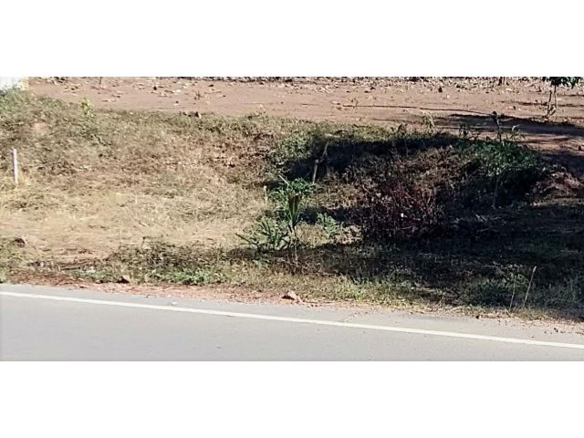 ขายที่ดินติดถนน พร้อมที่นาและสวน มีแปลงที่ติดน้ำรวม 16 ไร่