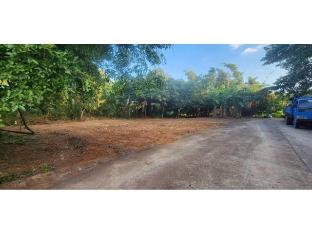 ขายที่ดินตำบลหนองควายหางดงถมดินเรียบร้อย