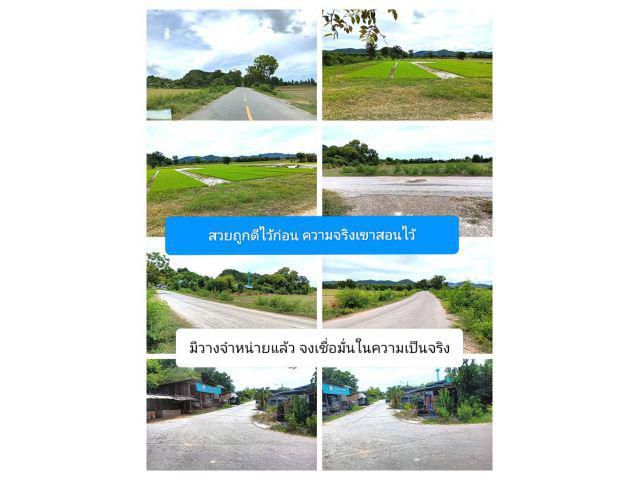 เตือนไว้ก่อน ควรอยู่ห่างๆไว้ อาจใจอ่อนได้หากได้เห็น ขึ้นอยู่กับเจตนาสุขล้นของคนใฝ่หาราคาที่เป็นธรรม ทำเลร่มเย็นที่เป็นใจ