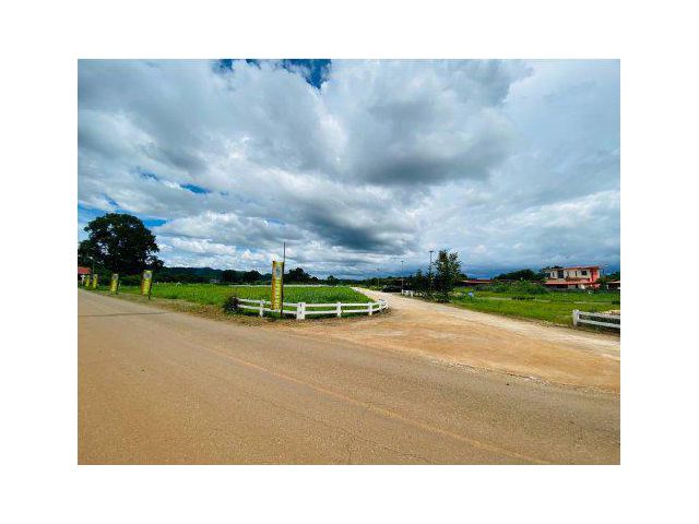 ขายที่ดิน 23 ไร่ เขใหญ่ ต.หมูสี อ.ปากช่อง จ.นครราชสีมา