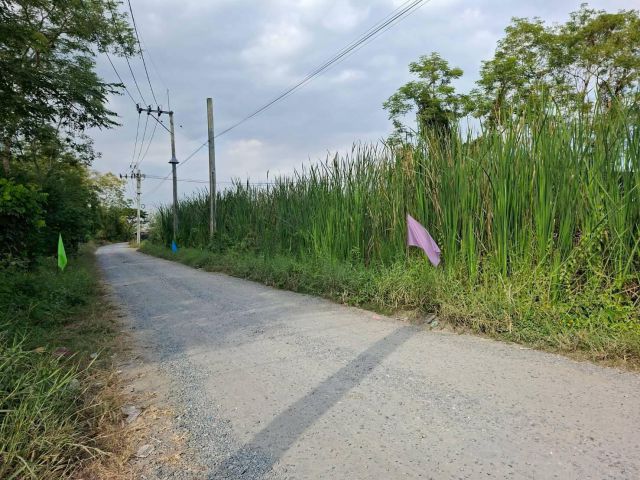 ขายที่ดิน 1 ไร่ หนองจอก ซอยคลองสิบ - คลองสิบสี่ 9 ใกล้ตลาดหนองจอก (N.1973)