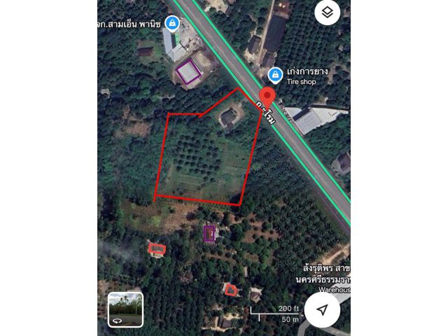 ขายที่ดินพร้อมสิ่งปลูกสร้าง 8 ไร่ ติดถนนใหญ่ อ.พรหมคีรี จ.นครศรีธรรมราช