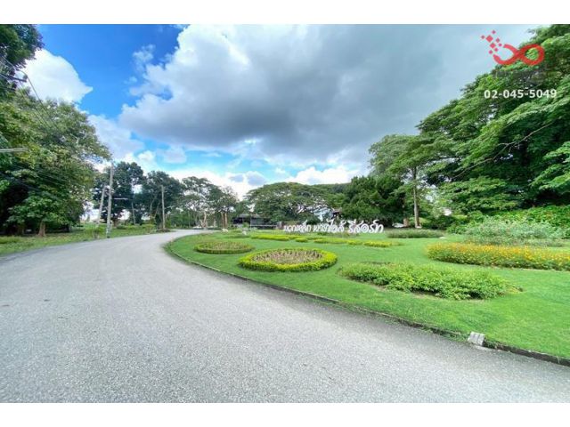 ขายที่ดิน มวกเหล็กพาราไดส์ รีสอร์ท ปากช่อง 319 ตรว.แปลงสวย