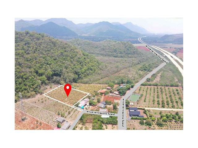 ขายที่ดินเขาใหญ่ปากช่อง ภูเขาโอบล้อม ทำเลดี พร้อมสวนแก้วมังกร