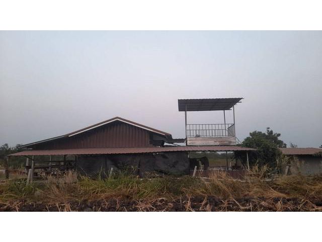 ขายที่ดินพร้อมบ้านสวน อำเภอพัฒนานิคม จังหวัดลพบุรี