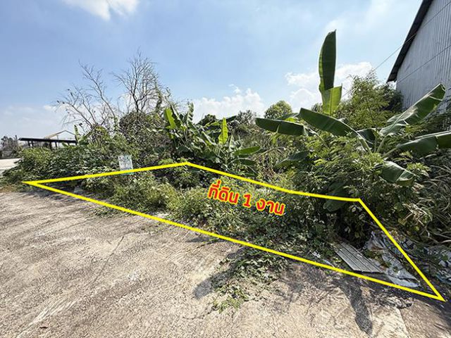 ขายที่เปล่า ซอยวัดสวนแก้ว ถนนราชพฤกษ์ บางกร่าง เมืองนนทบุรี