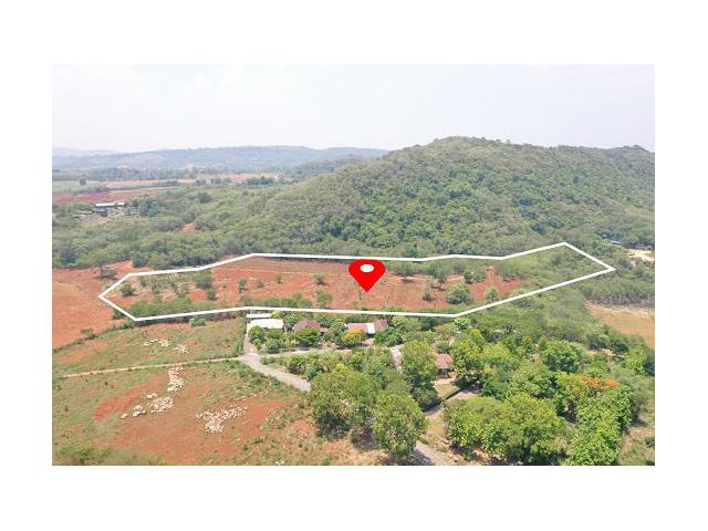 ขายที่ดินเขาใหญ่ ปากช่อง วิวเขา