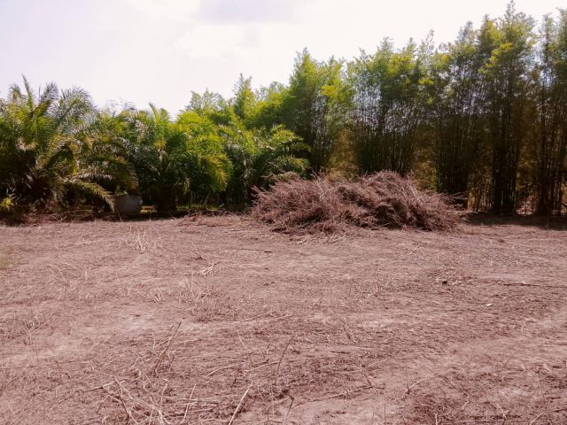 ที่ดินสวยและถูกภูเรือ ที่ดินติดเขาวิวสวย 2 งานกว่า ราคาถูกงบน้อยก็ซื้อได้