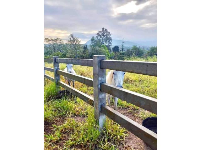 ที่ดินวิวเขาภูเรือสวยมาก ใกล้ธรรมชาติแบบนี้หายาก ราคาถูกเกินคุ้ม!!