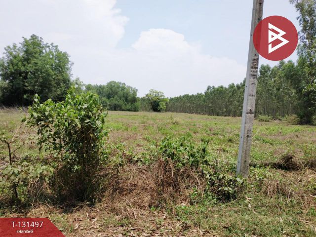 ขายที่ดิน เนื้อที่ 3 ไร่ 2 งาน นาดี ปราจีนบุรี