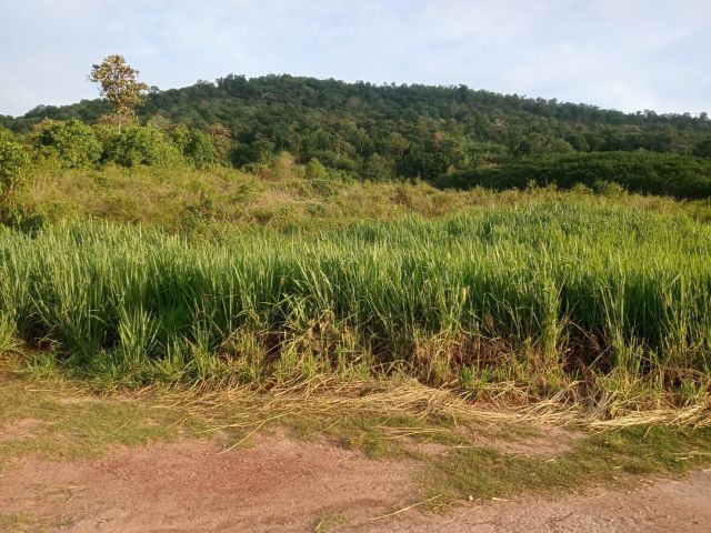 ที่ดินเลยวิวเขาราคาถูก โฉนดพร้อมโอน 4ไร่ 3งาน ใครเห็นก็อยากได้ วิวสวยรอบทิศทางน้ำไฟพร้อมอยู่