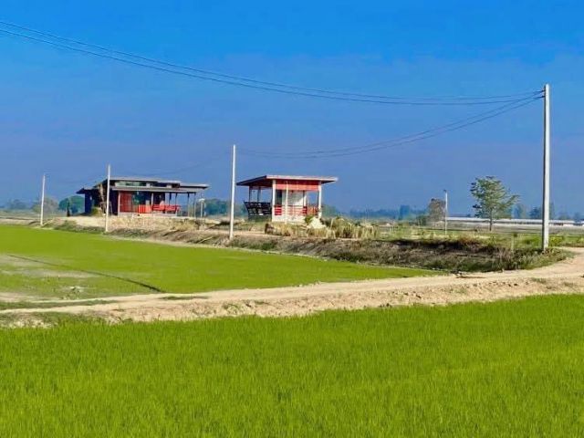 ขายบ้านพร้อมที่ดิน บนเนื้อที่ 7 ไร่ 2 งาน 89 ตารางวา ต.คุยม่วง อ.บางระกำ จ.พิษณุโลก