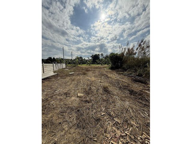 ขายที่ดินถมแล้ว อ.แม่สรวย จ.เชียงราย เนื้อที่ 2 งาน ใกล้เขื่อนแม่สรวย