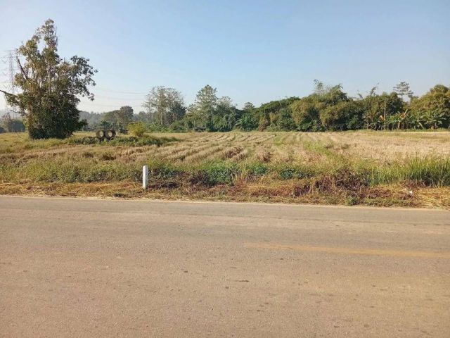 ขาย  ที่ดิน ใกล้น้ำจาง ติดถนนบ้านต๋อ แม่ทะ ลำปาง