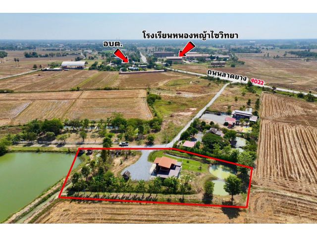 บ้านสวน บรรยากาศดีเยี่ยม