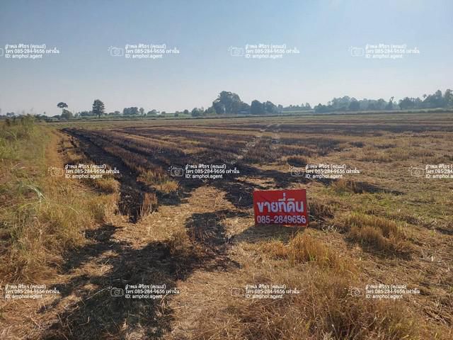 ขายที่ดินเพื่อการเกษตร อำเภอบรรพตพิสัย จังหวัดนครสวรรค์