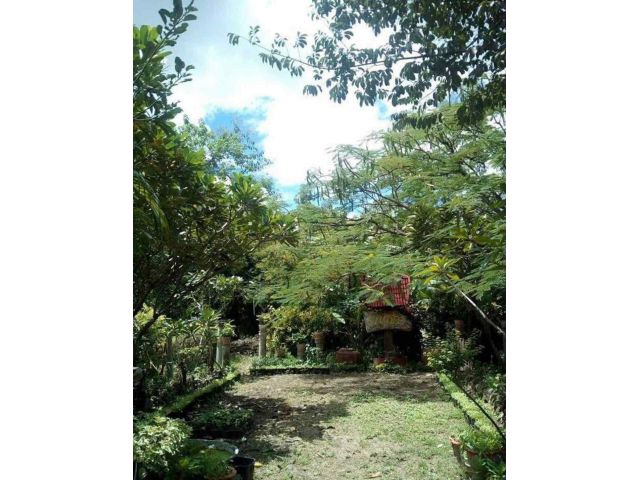 ขายที่ดิน 10 ไร่ เป็นสวนเก่า ต.นำ้พุ อ.เมือง ราชบุรี