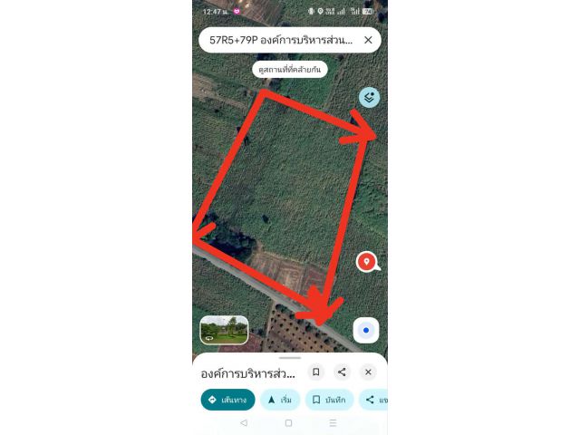 ขายที่นา10ไร่