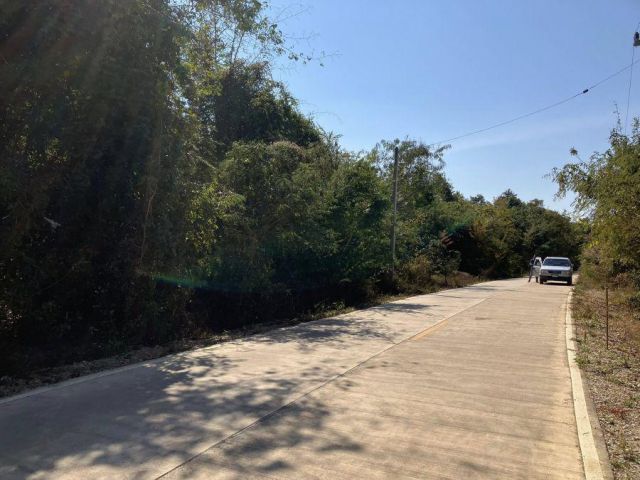 ขาย ที่ดินแปลงใหญ่ 35 ไร่ ในอำเภอเกาะคา ลำปาง