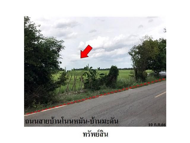 ขายที่ดินว่างเปล่า ต.ท่าช้าง อ.เฉลิมพระเกียรติ จ.นครราชสีมา