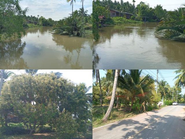 ที่ 2 ไร่ 2 งาน 20 ตรว. ติดคลองใหญ่ ใกล้อัมพวา ติดลาดยาง