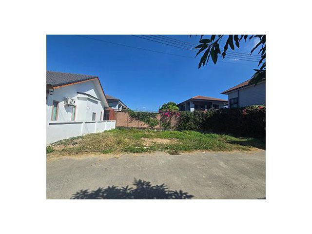 ขายที่ดิน ท่าเดื่อ  ต.สันผีเสื้อ อ.เมืองเชียงใหม่