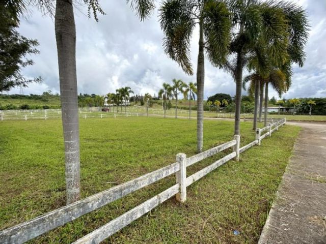 ขายที่ดินจัดสรรแปลงสวยเขาค้อ