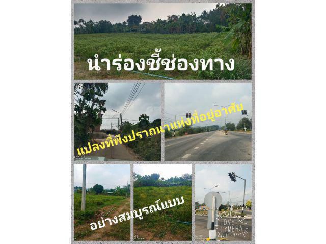 แบบว่าตรงจุดตรงใจอย่างสวยอย่างหนา คุณค่าของความสมบูรณ์แบบ คือทำเลที่อาศัยเน้นทำเลเป็นหลักแล้วจะรัก จะรู้เมื่ออยู่กับเรา