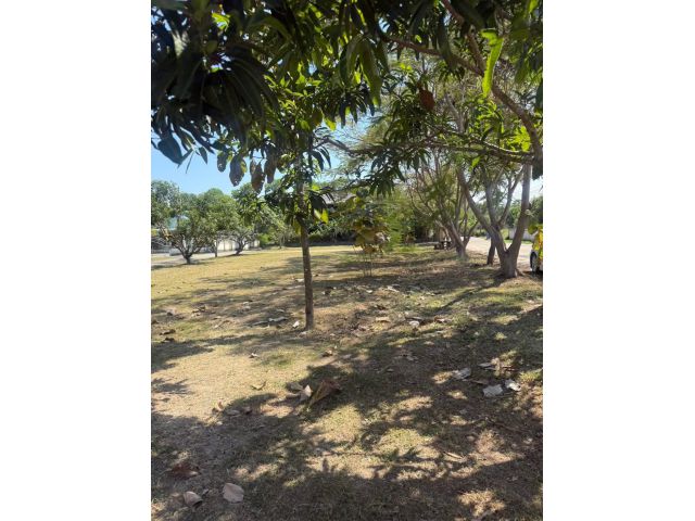 ขายที่ดินในตัวเมืองบางคล้าเนื้อที่ 4 ไร่ ติดถนน2ด้านซอยซ.ราษฎรอุทิศ หลังการประปา อ.บางคล้า จ.ฉะเชิงเทรา