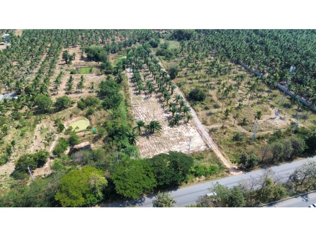 ขายที่ดินทับสะแกแลนด์ 5-3-96 ไร่ ติดถนนสายเอเชีย ทำเลทอง ราคาสำหรับนักลงทุน เพชรเกษมขาล่องใต้ ประจวบคีรีขันธ์