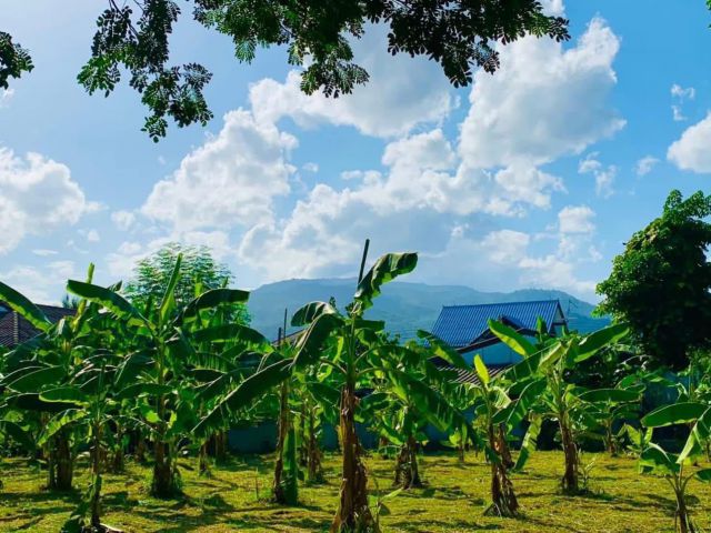 ขายที่ดินทำเลทอง! หมู่บ้านช่างทอง ต.สุเทพ อ.เมืองเชียงใหม่ ใกล้มหาวิทยาลัยเชียงใหม่ (หลัง มช.)