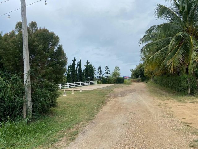 ขายที่ดิน 3 ไร่ ทำเลสวยมาก วิวเห็นเขารอบด้าน 360 องศา ใกล้พระธาตุช่อแฮ ใกล้สนามบินแพร่